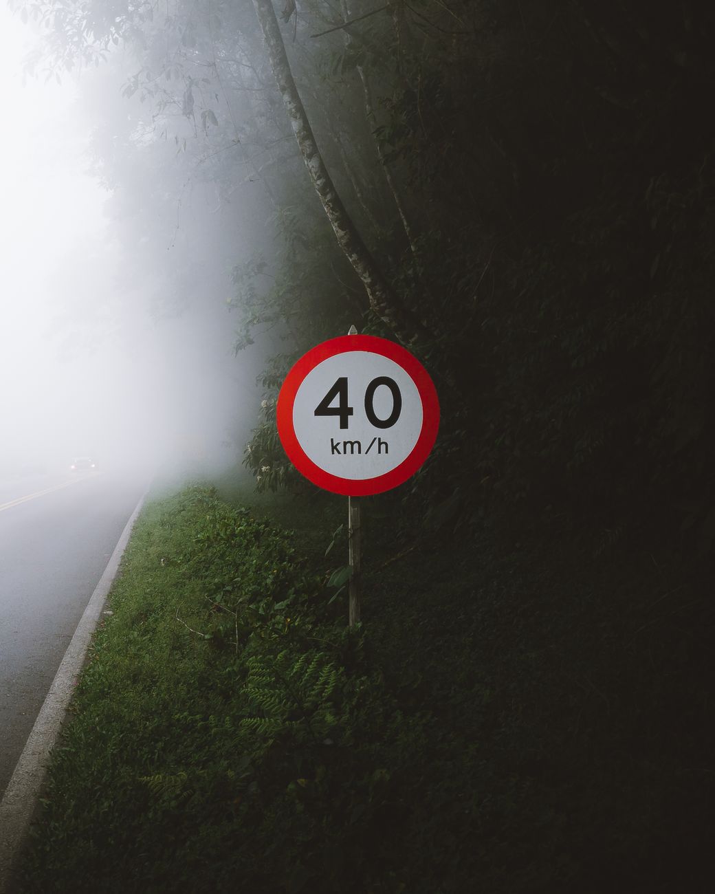 100 km/h nas estradas? A proposta que está dando o que falar