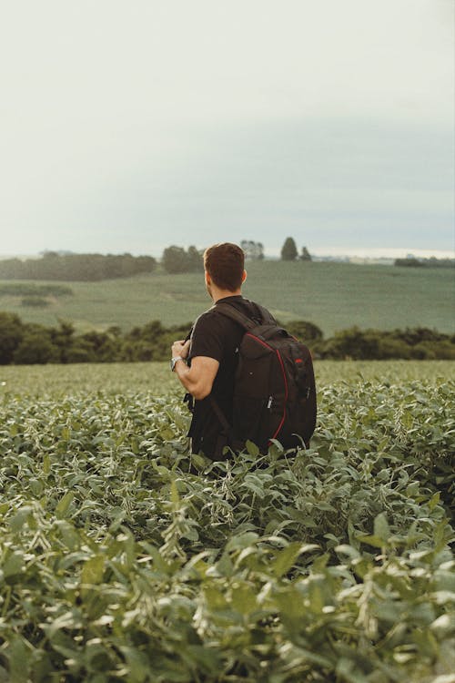 Man with a Backpack Standing in a Field