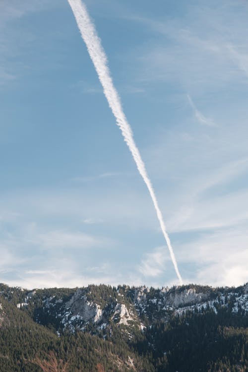 Hills and Forest in Winter