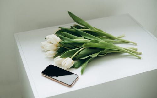 akıllı telefon, armağan, beyaz laleler içeren Ücretsiz stok fotoğraf