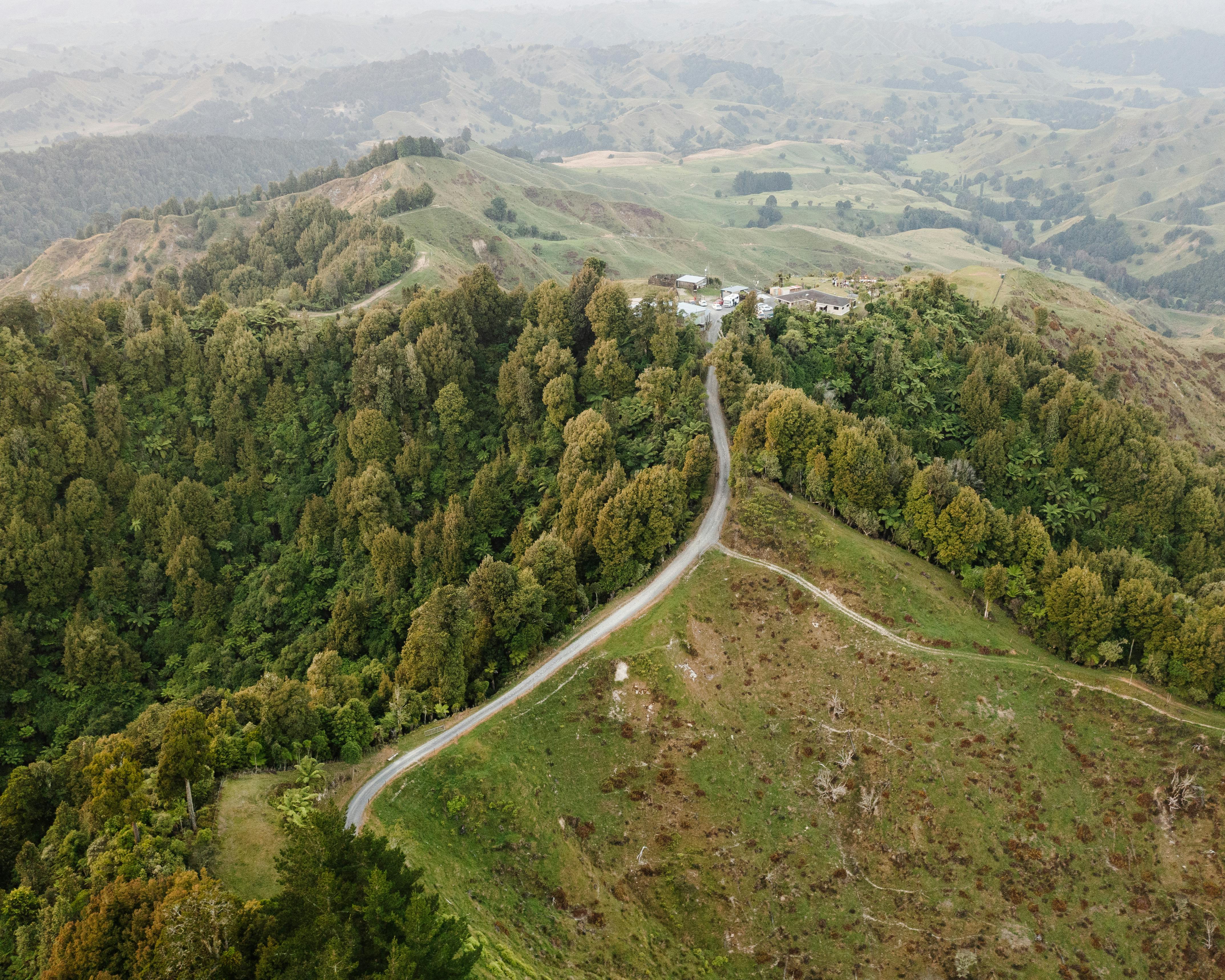 general travel new zealand ltd — Photo by Josh Withers on Pexels