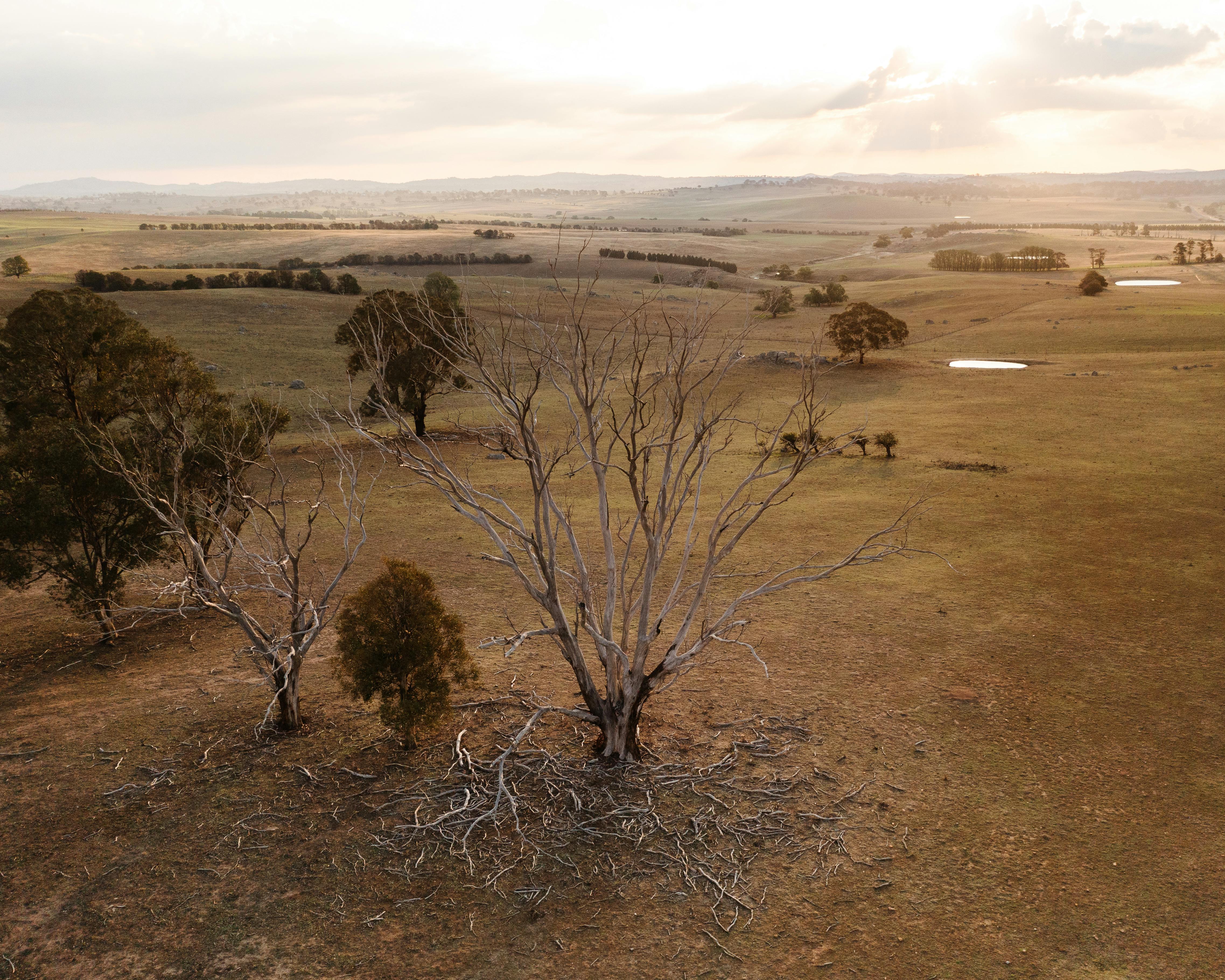 climate resilience drought mitigation — Photo by Josh Withers on Pexels