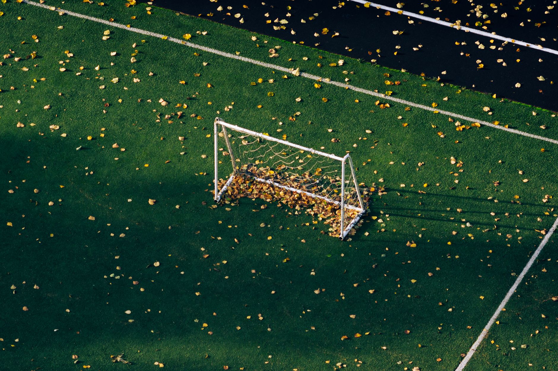 Aerial shot of a soccer goal surrounded by autumn leaves on a green field.