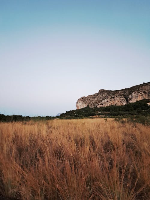 Foto d'estoc gratuïta de ambient, bella naturalesa, capvespre