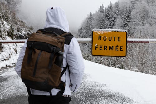 Foto d'estoc gratuïta de carretera, constipat, d'esquena