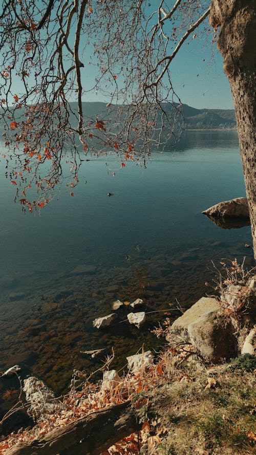 Бесплатное стоковое фото с вода, горы, греция