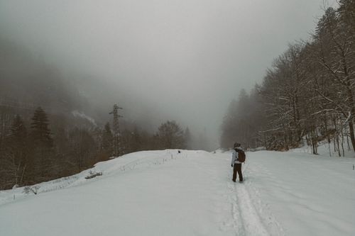 Free Hiker walks through a snowy and misty forest path, capturing the serene winter landscape. Stock Photo