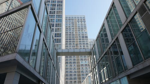 Low Angle Shot of Modern Buildings in City 