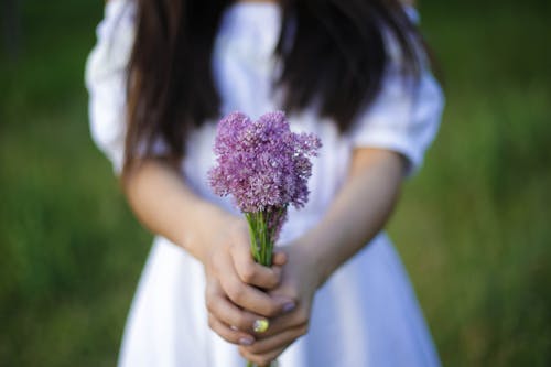 Photo of Person Holding Purple Flowers