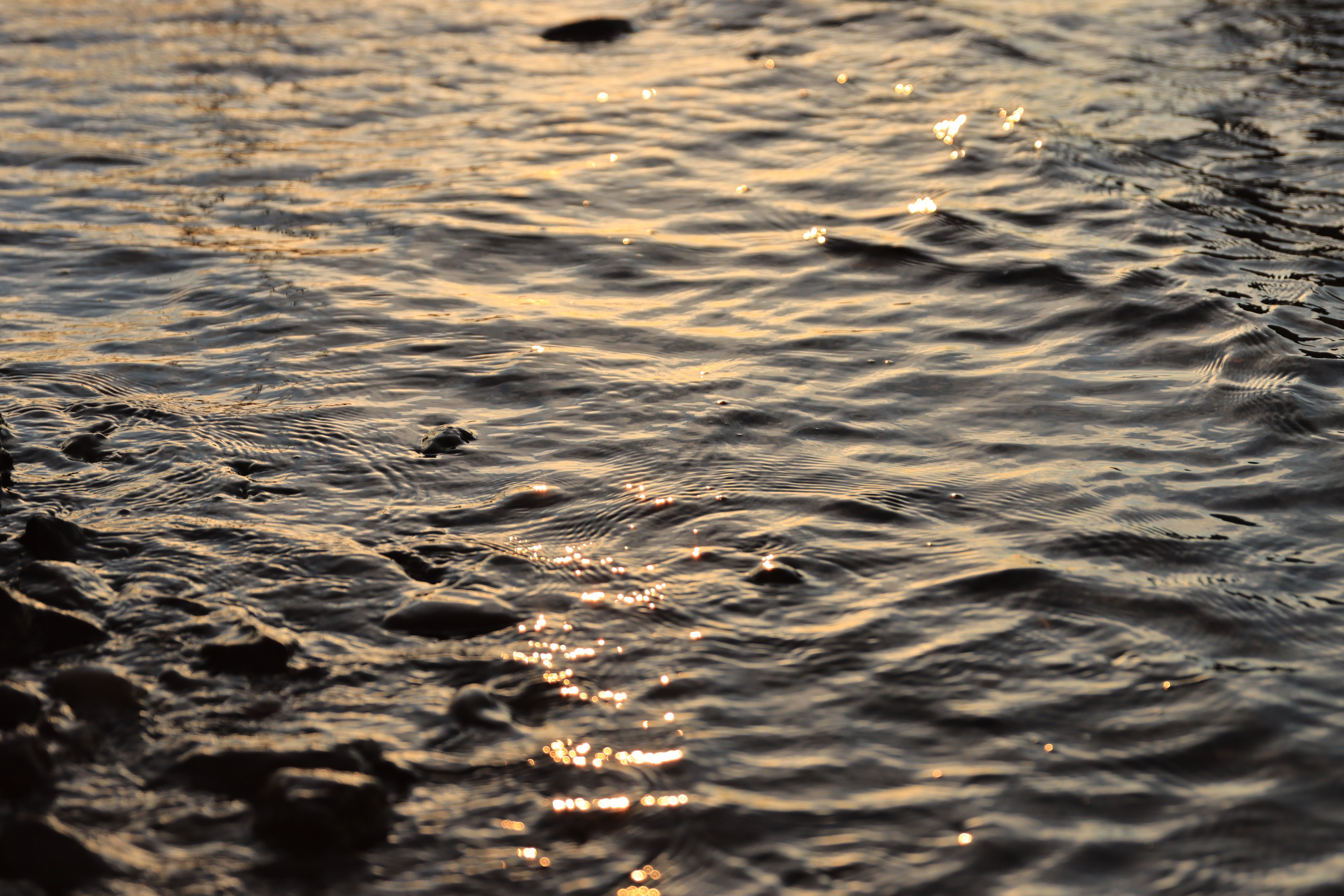 Wrinkles on Water · Free Stock Photo