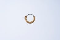 Golden Earring on a White Background