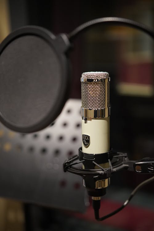 Photo of a Microphone in the Studio