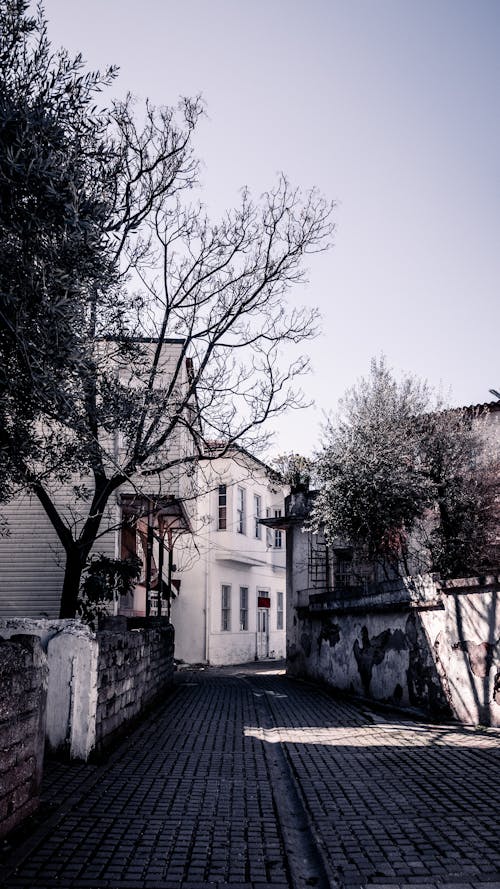 Photo of a Narrow Alley in the Old Town