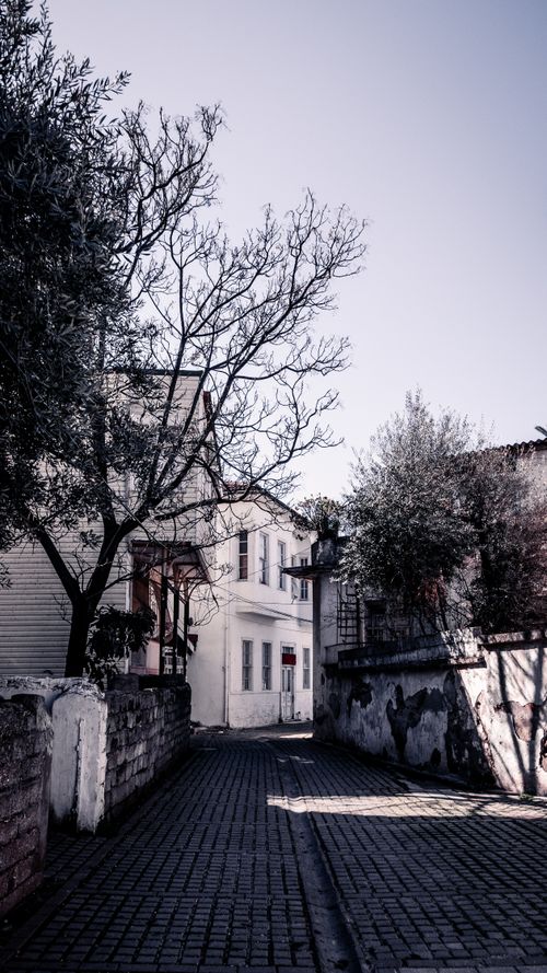 Free A picturesque narrow alleyway with classic architecture and trees, capturing the essence of a historic town. Stock Photo