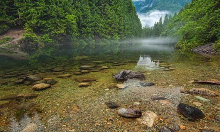 Photo Of River With Calm Waters