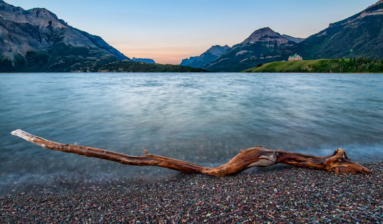 Photo Of A Driftwood By The Seashore