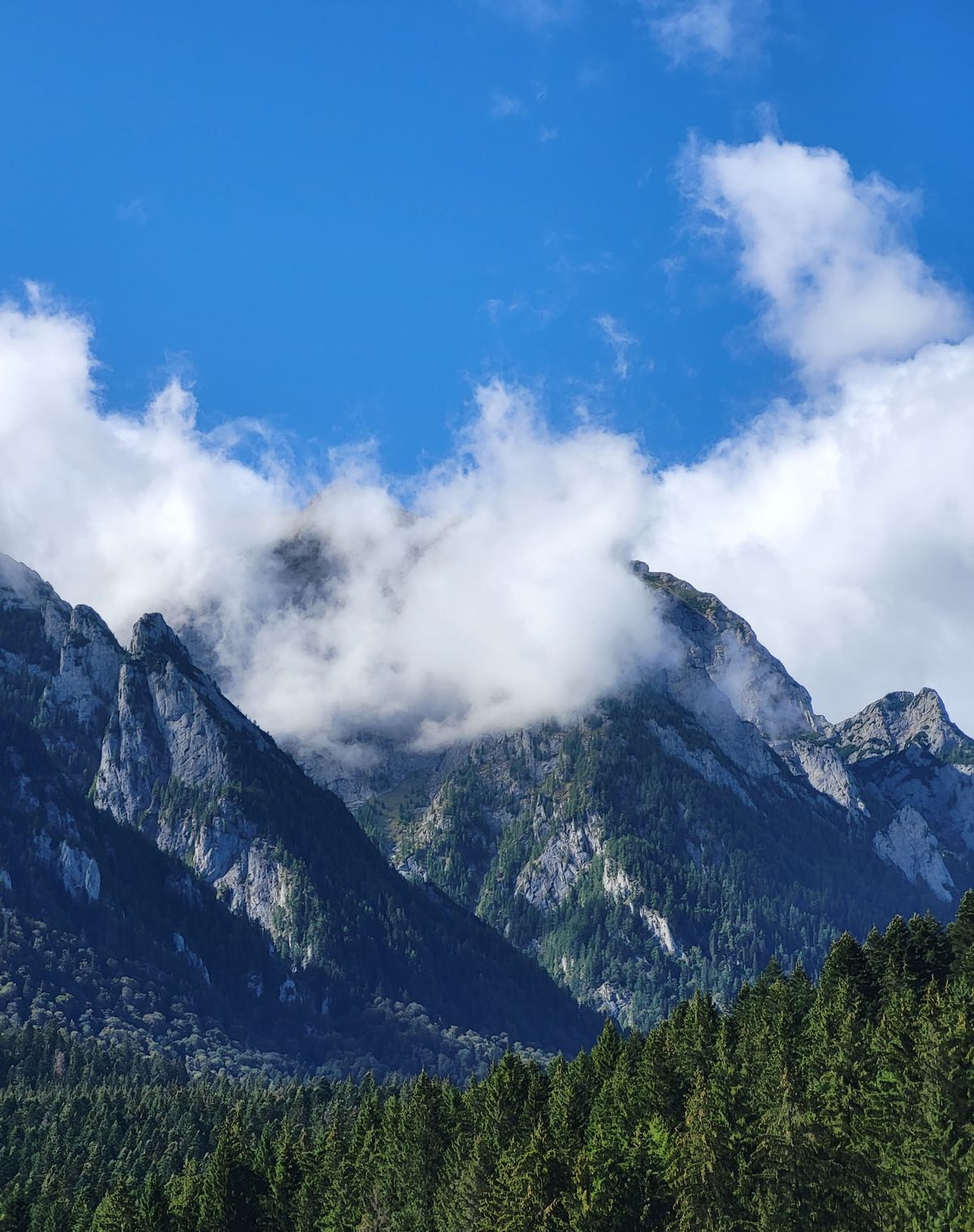 Unde te cazezi în Bușteni - creste stâncoase și pădure spre Valea Cerbului