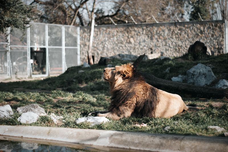 Zoo Praha