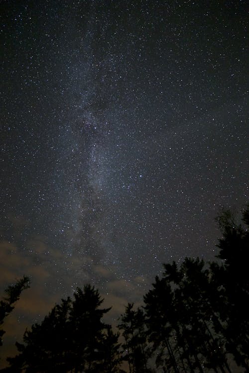 ağaçlar, bulutlar, gece içeren Ücretsiz stok fotoğraf