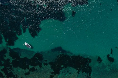 Drone Shot of Motorboat in Ocean