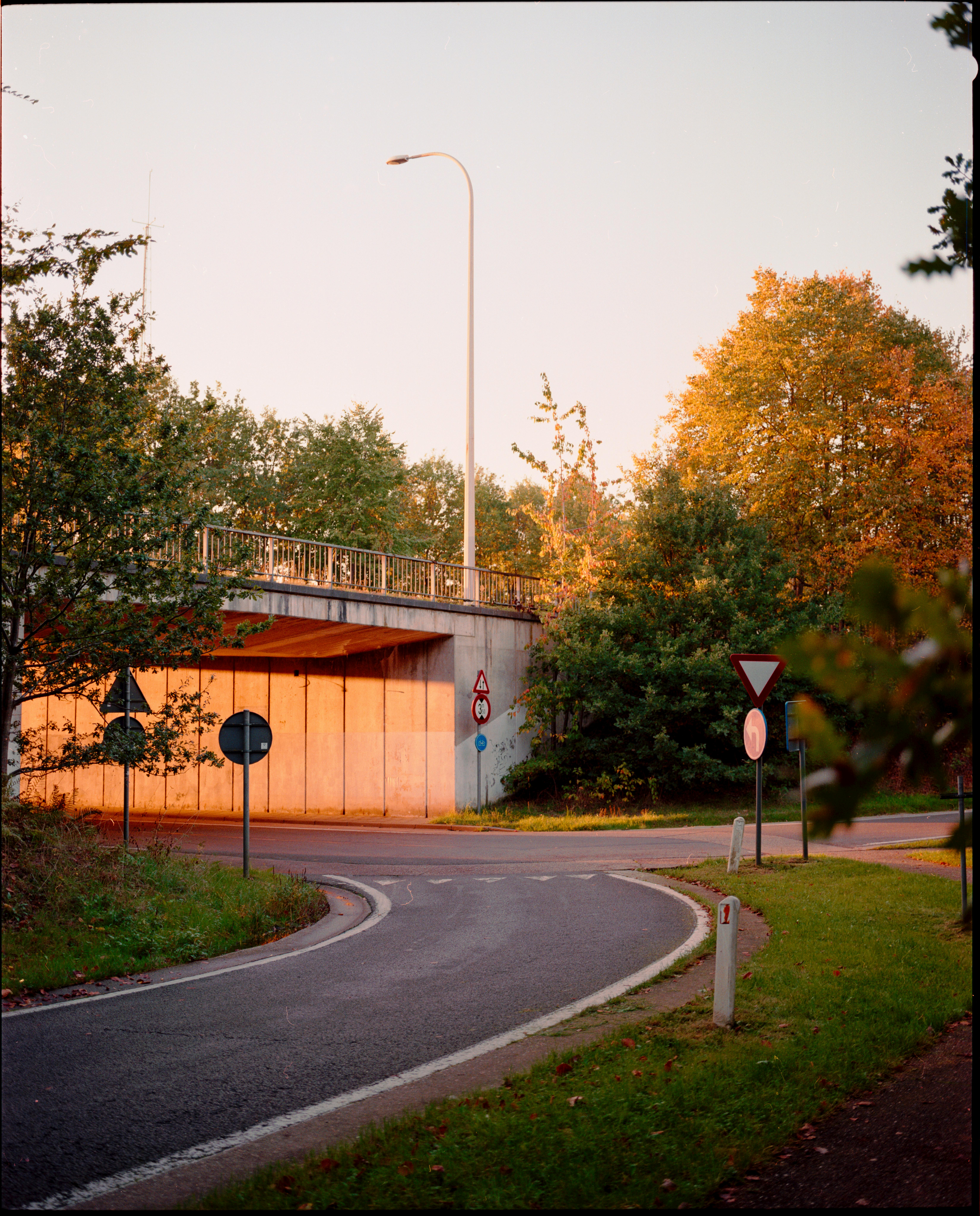 A picturesque road under an overpass during sunset, surrounded by autumn foliage.