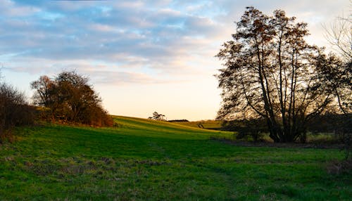 Free stock photo of country, countryside, dawn Stock Photo