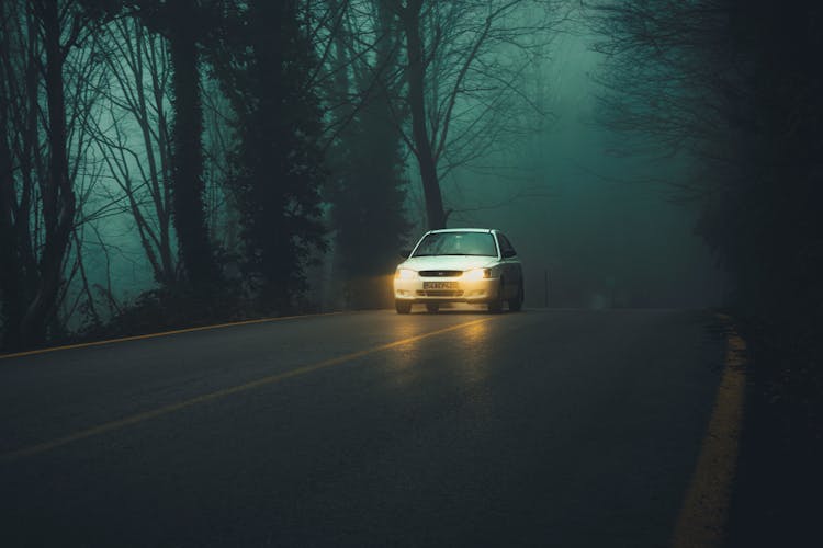 White Car On Road In Forest