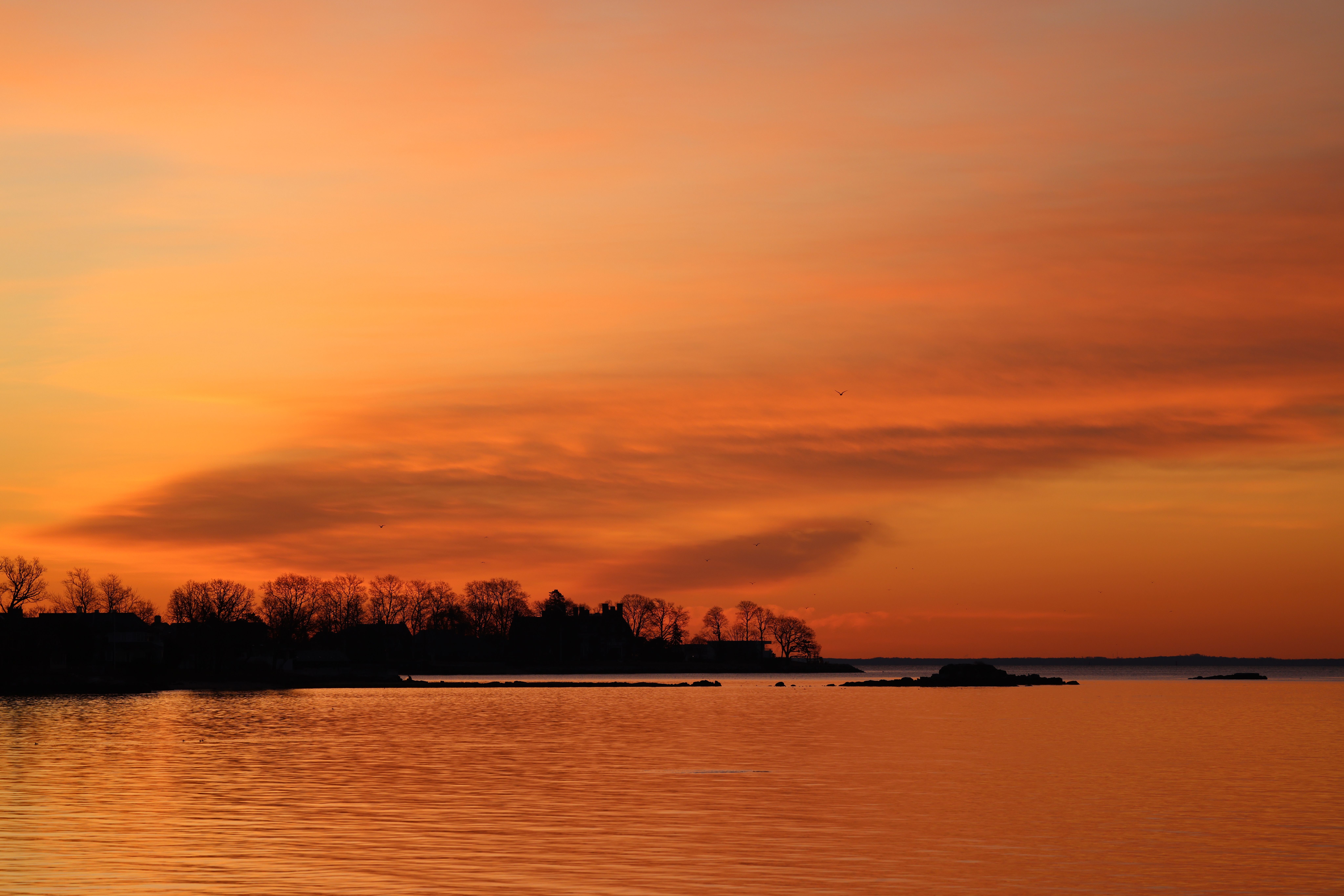 Yellow Sky over Lake at Sunset · Free Stock Photo