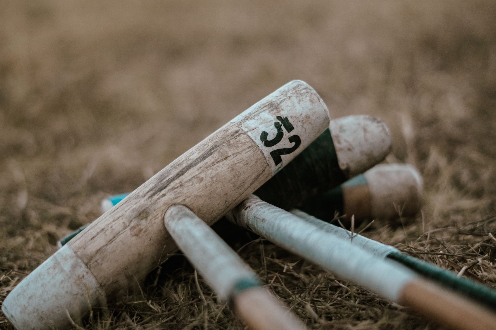 Best Croquet Sets (2026)
