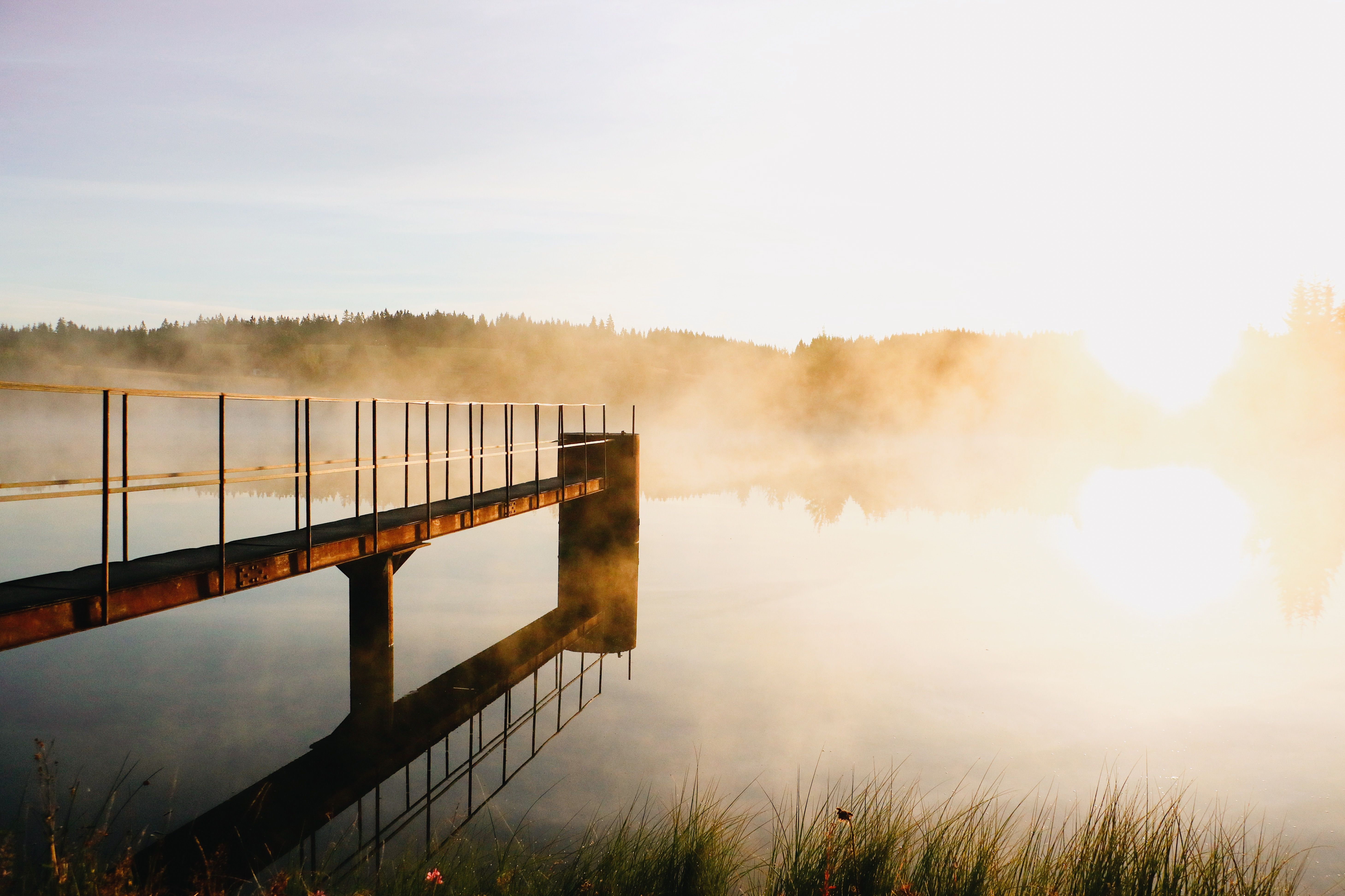 Morning Fog over the Lake in the Golden Light of the Rising Sun · Free ...