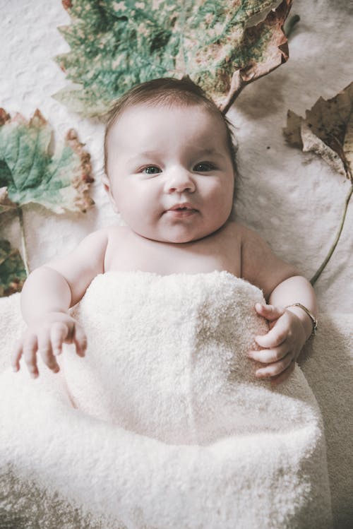 Free stock photo of baby, beautiful eyes, big leaf