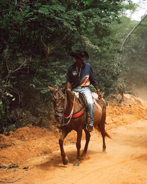 Man on Horse on Dirt Road in Forest