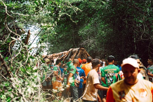 A Crowd Carrying a Tree Log in a Forest 