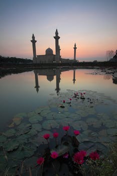日落时分，清真寺的倒影映在水中，前景是生机勃勃的睡莲
