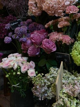 Image by Eugenia Remark