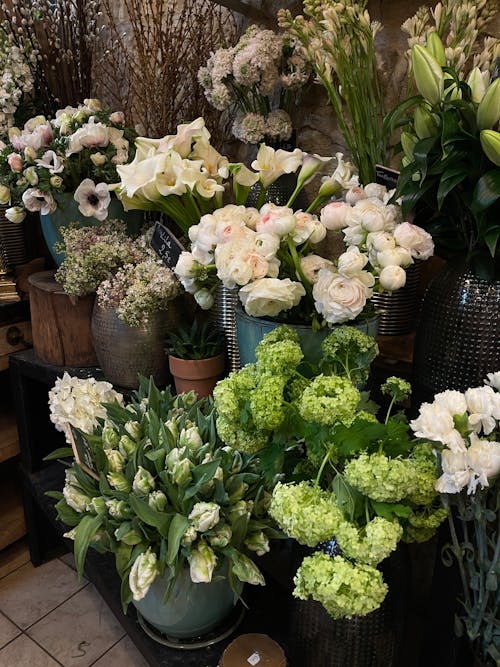 Fotos de stock gratuitas de abundancia, de cerca, flores