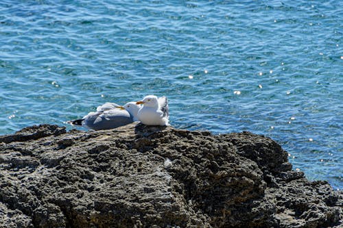 Tomando El Sol