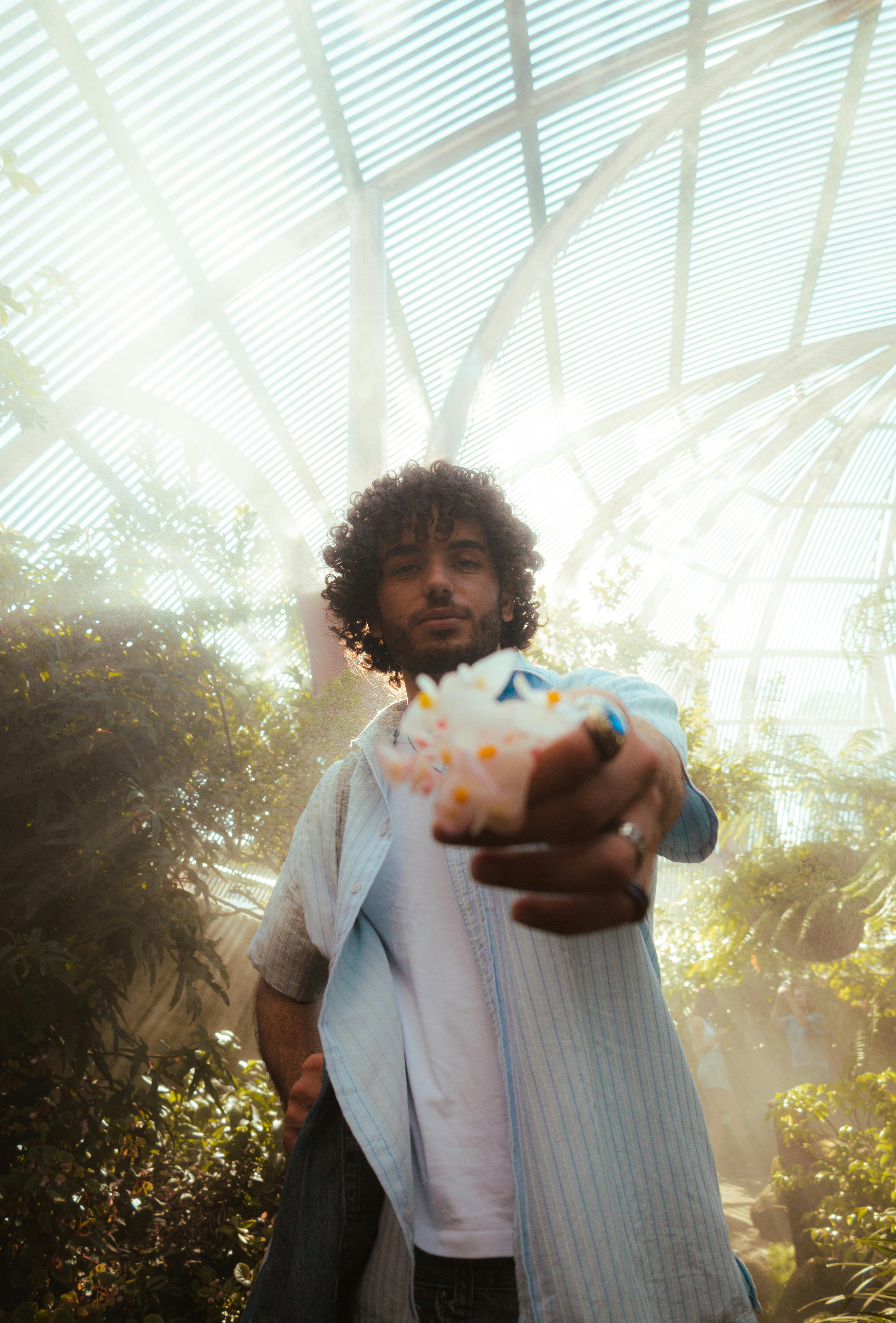 A man with curly hair poses in a sunlit greenhouse with a dreamy atmosphere.