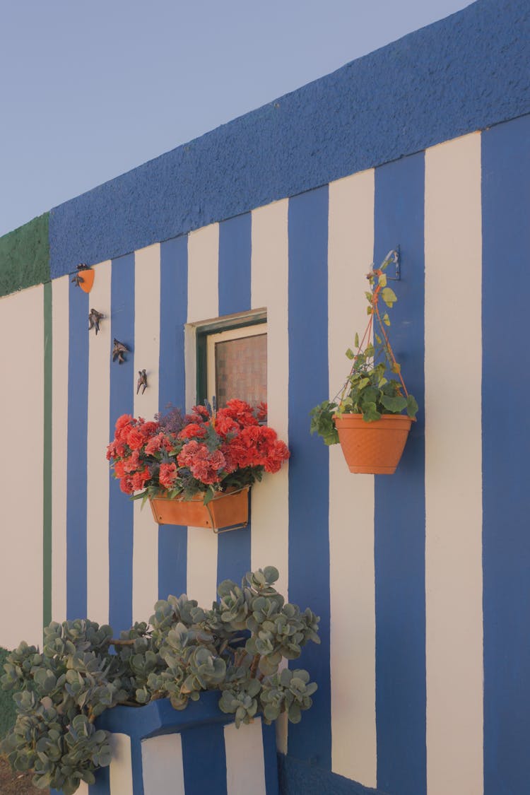 Wall In Decorative Blue Stripes