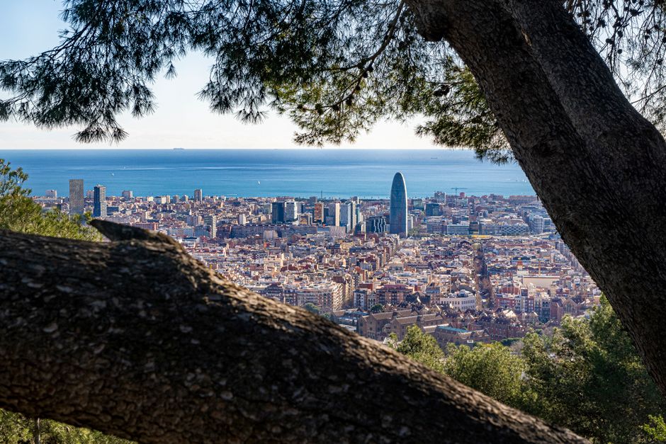 Impresionante vista del paisaje urbano de Barcelona con vista al mar, enmarcada por árboles frondosos.