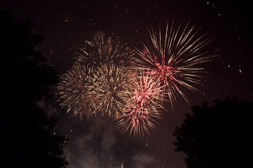 Red Fireworks in the Night Sky