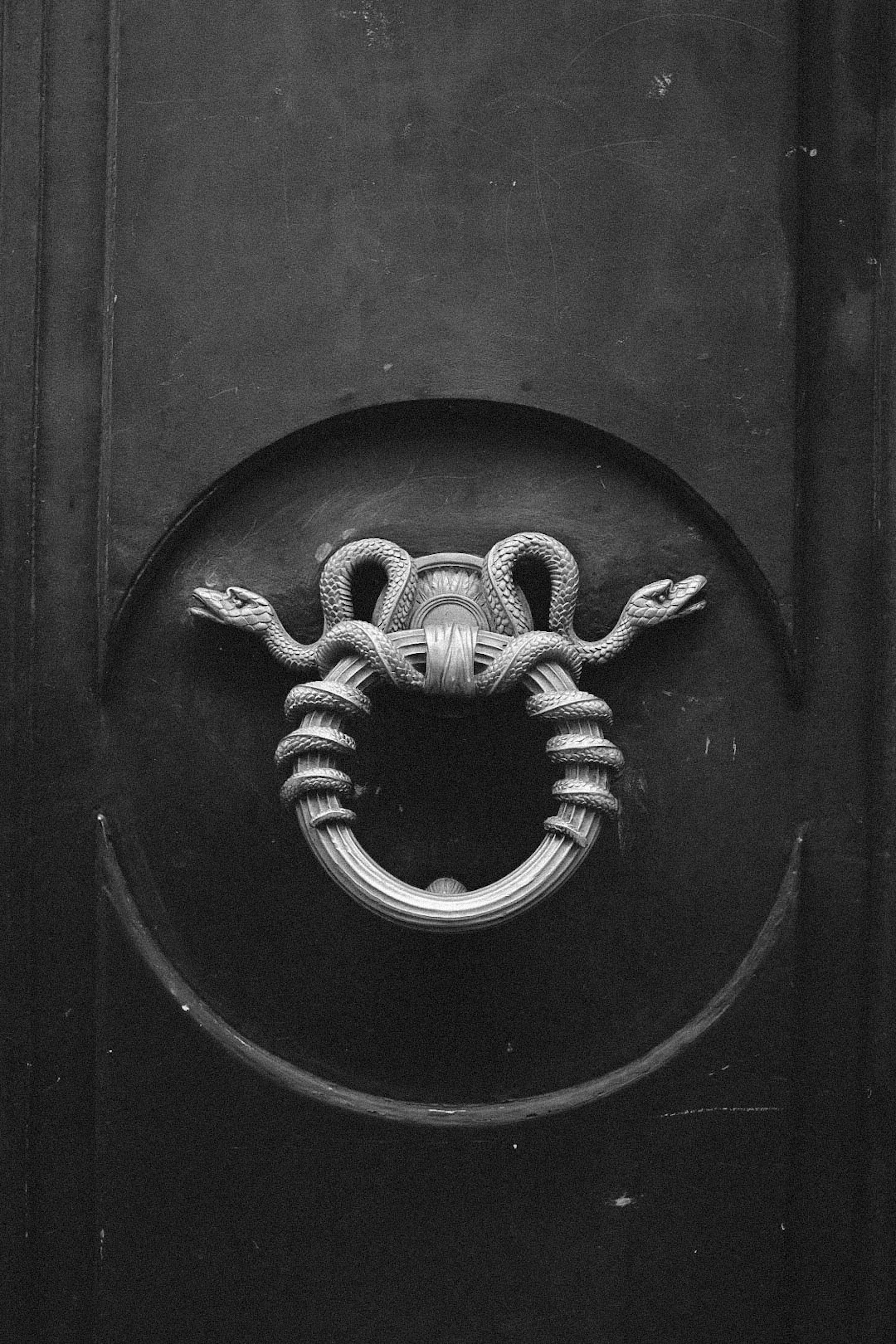 A stylish black and white photograph of a decorative door knocker shaped like intertwined serpents.