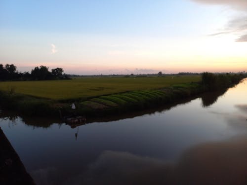 Kostenloses Stock Foto zu fluss, friedlich, landwirtschaftliches feld