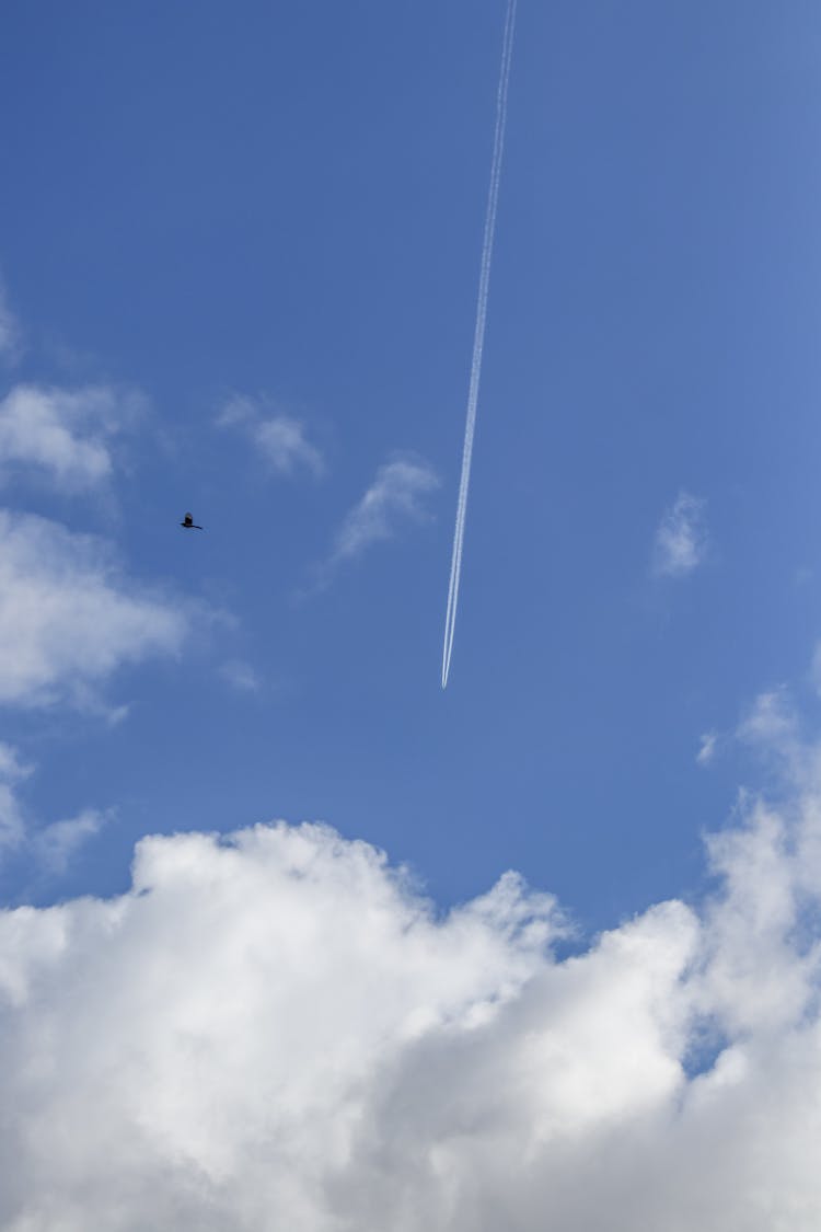 Vapor Trail In Sky