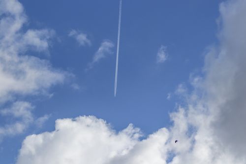 Free A jet contrail streaks across a partly cloudy blue sky with a distant bird visible. Stock Photo