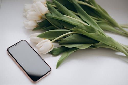 Still Life with White Tulips and a Smartphone