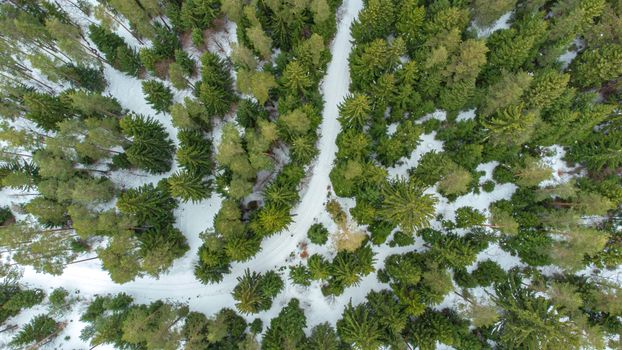 Drone captures a scenic winter forest with snow-covered trees and winding road.