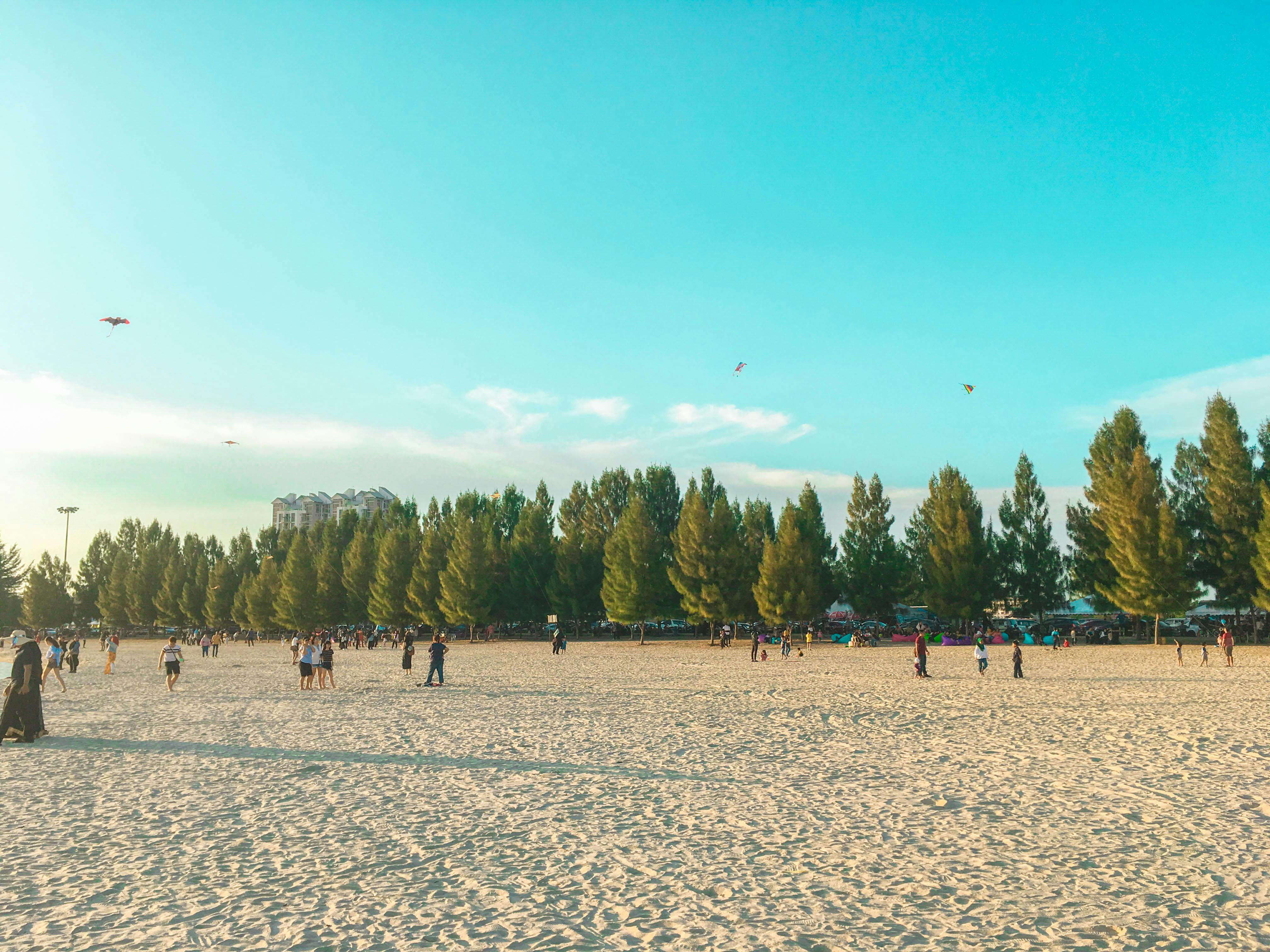 Siististi pinottu pino polttopuita ulkona kuivumassa.