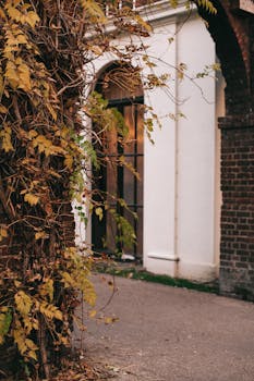 入口处常春藤环绕的优雅建筑，展示了经典设计