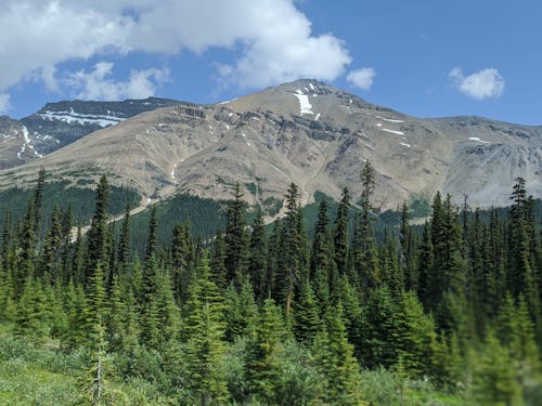 Mountain Towering over Trees